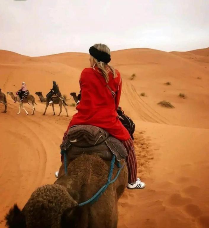 Campsite Camp Sahara Dunes M'Hamid