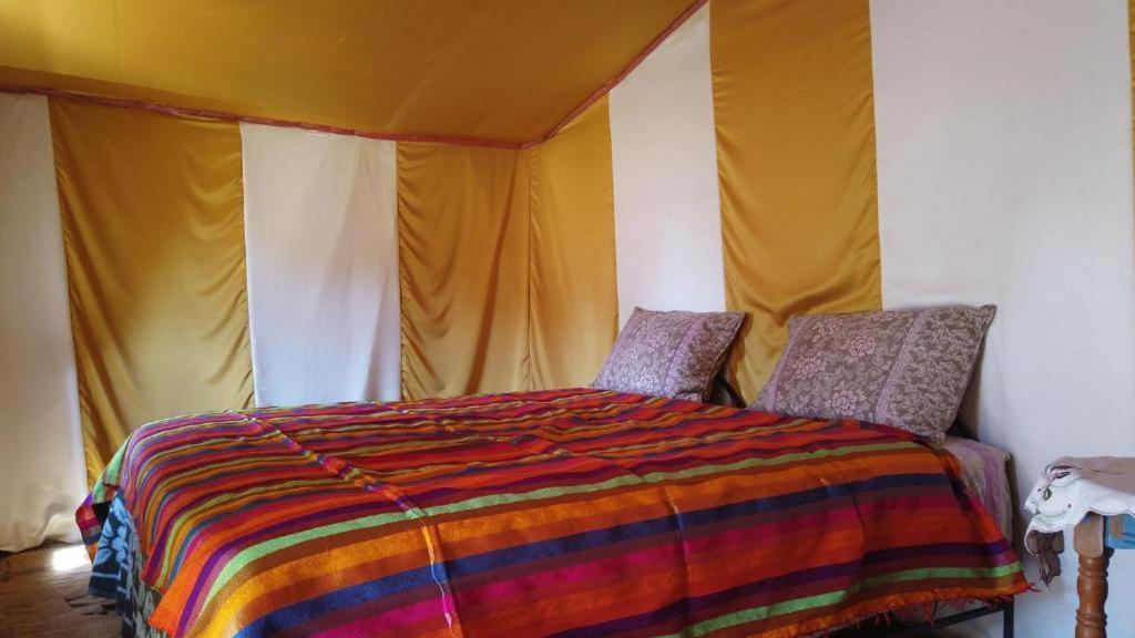 Campsite Camp Sahara Dunes M'Hamid